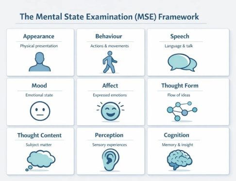 Mental State Examination (MSE) Student Guide Checklist
